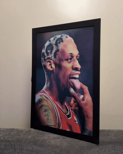 Dennis Rodman 3D
