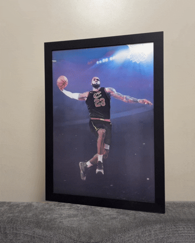 Lebron James 3D