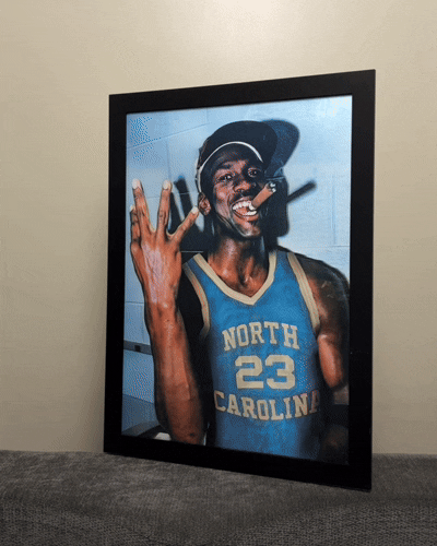 Michael Jordan 3D